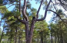 Luz de Carboneras - Foto 45