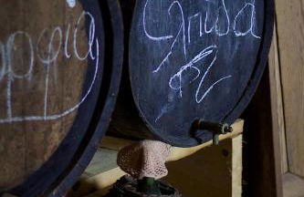 Elia Meronas - Photo 29