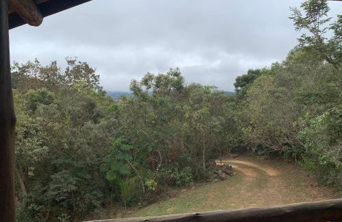 Chico Bertolino / Reserva Alto da Colina - Photo 19