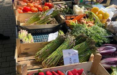 Villa panoramica sulle colline del Monferrato - Foto 57