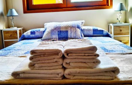 Apartamentos El Prau - Foto 34