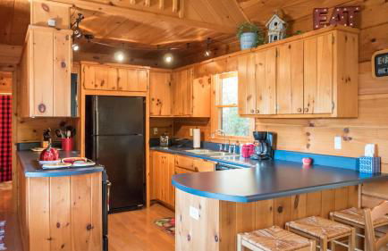 Red Apple Mountaintop cabin hot tub, WiFi, Pet friendly, Fireplace, pit, BEST VIEWS - Foto 7