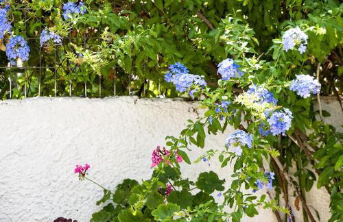 Summer Garden Studio - village location - Foto 16