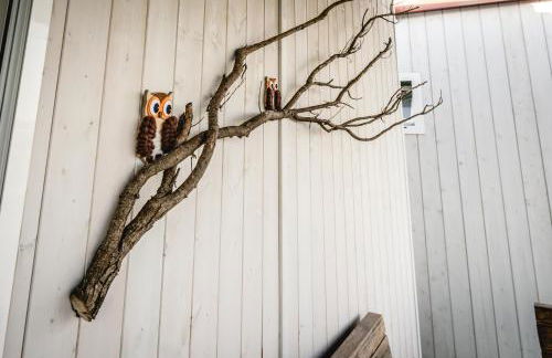 Colle Regnano - Foto 29