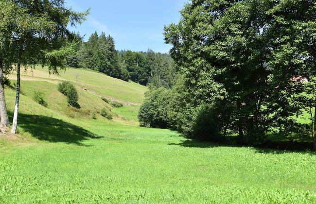 Comfortable Apartment in Baiersbronn With Balcony - Foto 22