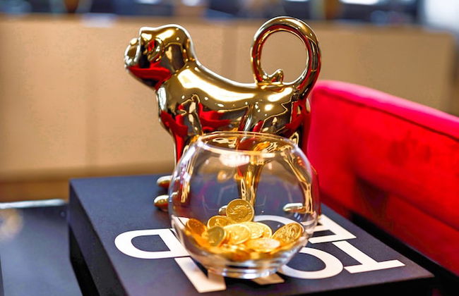 Chic Collection by NOHOTEL on PTree RD - Foto 11