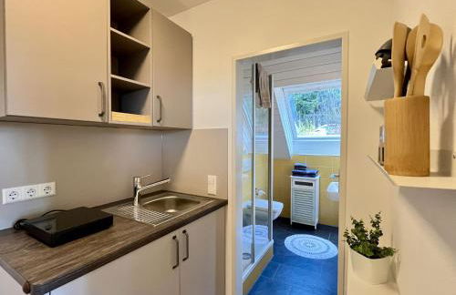 Apartment Falkennest - mit Blick auf den Titisee by Interhome - Foto 23