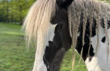 Le Ruisseau Gîte Idéal pour un Séjour à Deux au Fil de l'Eau - Foto 26