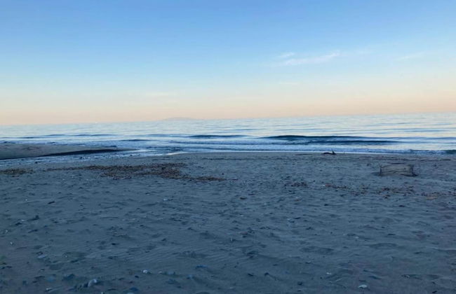 Holiday Home in Moriani-plage Near Beach - Foto 36