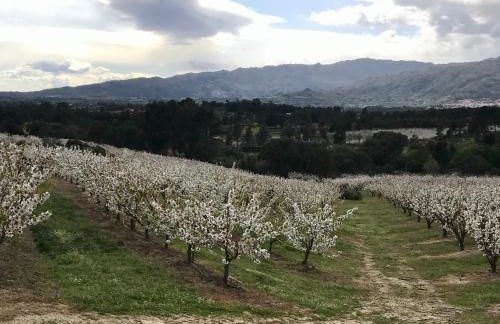 Quinta da Porta - Solar de Vale de Prazeres - Foto 59