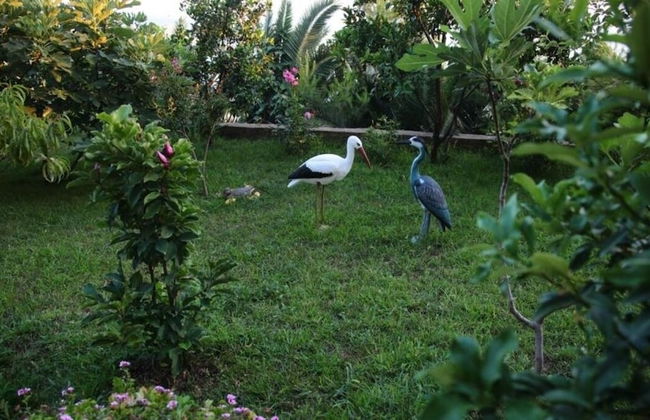 Apartments Bardak - Foto 51