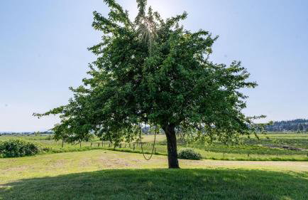 Bayview Together Farm by Avantstay A+ Location - Foto 55