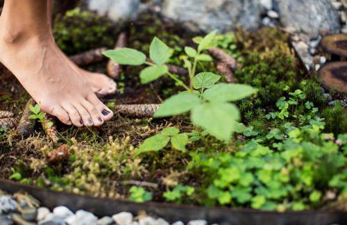 Appartementhaus Lechnerhof - Foto 20