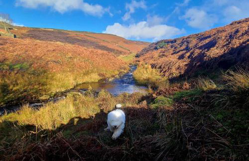 4 Bed in Little Hayfield oc-c31097 - Photo 12