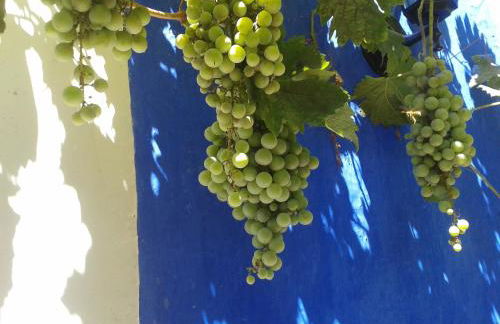 Quinta da Fornalha - Santuario Agroecologico - Foto 31