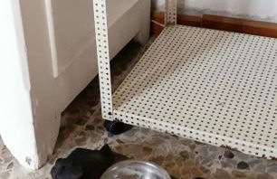 Casa di Bimba - Photo 34