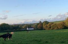 Canllefaes Cottages - Foto 44