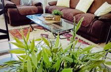 Casa Finlandia - Foto 7