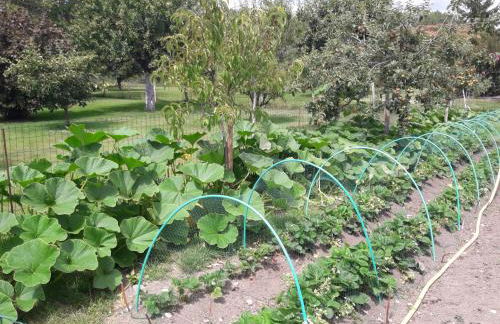 Logis de LANGE studio 2 p - Foto 41