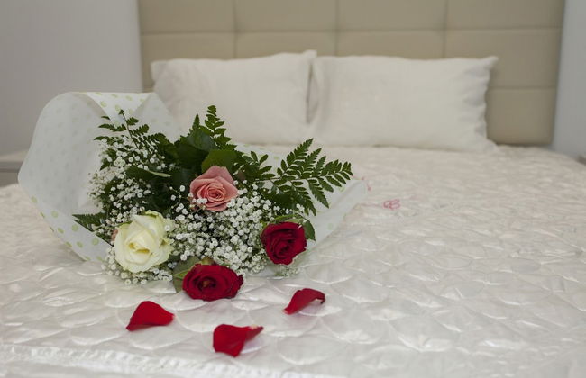 Oasis Exclusive - Foto 14