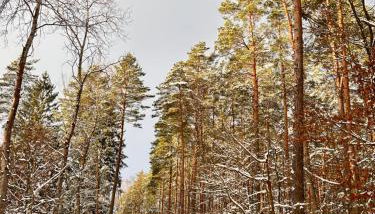 I - Apartament na Warmi dla rodzin z dziećmi - Foto 5
