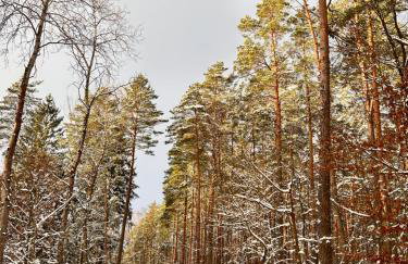 I - Apartament na Warmi dla rodzin z dziećmi - Foto 5