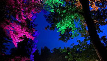 Royal Whirlpool Suites Lüneburger Heide - Foto 4