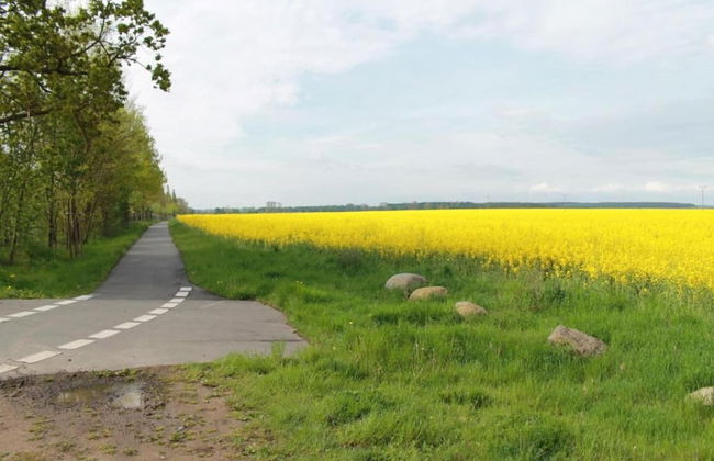 Einladende Ferienwohnung in Gerdshagen mit Garten - Foto 31