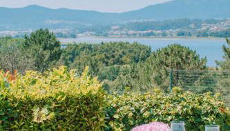 Just Like Home - Casa dos Pinheiros - Foto 3