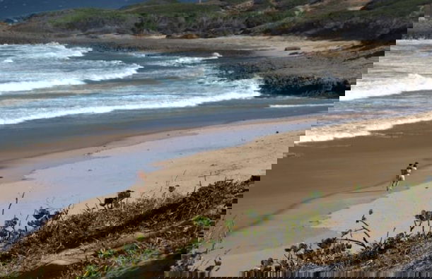 Casa Malcampo - Foto 13