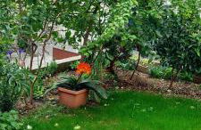 Trogir holiday house - Photo 54