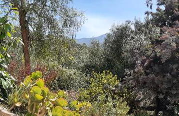 studio 5min plage agosta - Foto 14