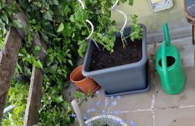 RELAX PUR in der NATUR I & II - Photo 11