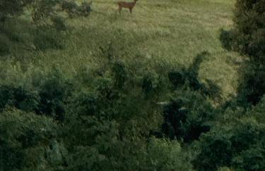 Borowe Apartamenty - Photo 52