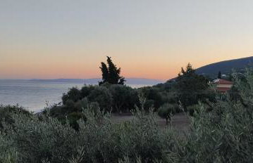 Δίπλα στο κύμα -Βeside the wave - Photo 28