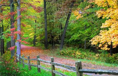 Gorgeous Grand Traverse Bay Beach Front Condo - Foto 24