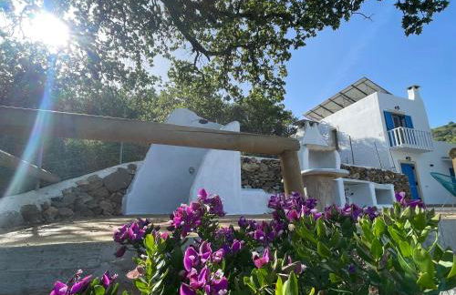 The Velanidies - Οι Βελανιδιές - Foto 7