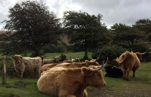 Luxury Exmoor Barn conversion with Sauna - Foto 8
