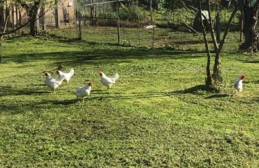 La tana dei Ricci - Foto 25