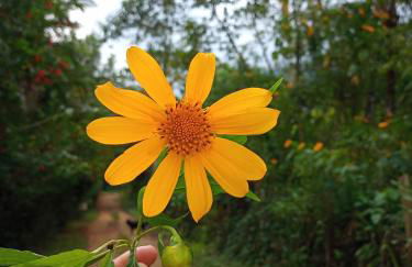Carneiro Caiçara chalés- Casinhas aconchegantes em Ubatuba - Foto 30