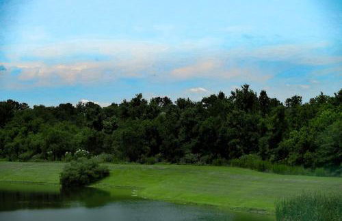 Cosmic Serenity Retreat 1BD Lux King in Southeast Jax - Foto 32