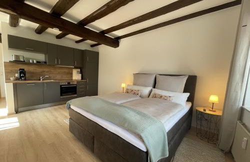 Ferienwohnung an der Mainpromenade - Foto 1