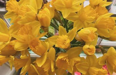 Lower Godney Little House - Foto 13