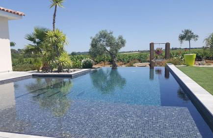 Villa contemporaine avec piscine à débordement dans un domaine viticole - Foto 8