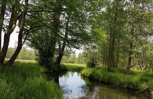 Holiday Home Sonnentau - Foto 11