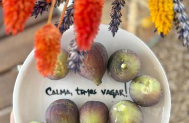 Canto da Planície - Foto 27