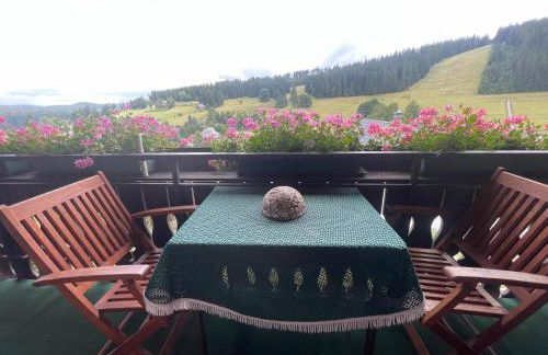 Ferienhaus Rose mit Sauna und HS-Card - Greschuk Apartments - Photo 7