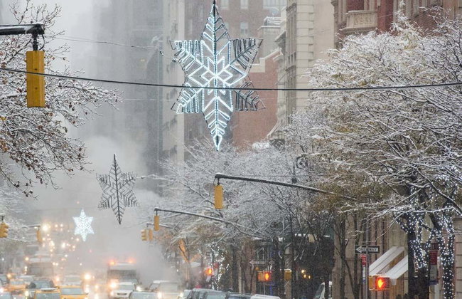 Contrastes de Nueva York + Luces de Navidad de Dyker Heights - Photo 5