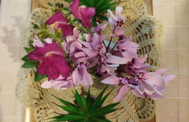 La casa di Bella a tradional stone house with barbecue - Photo 70