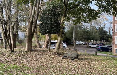 Cosy 5 Bed Apartment in Highgate - Photo 21